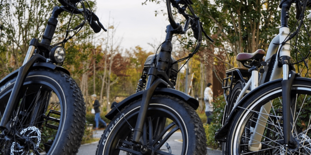 Discover Environmentally-Friendliness of eBikes