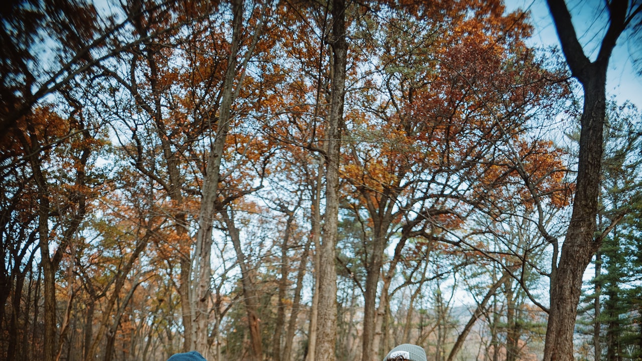 Looking For Quality Vendor Tents? Follow These Tips