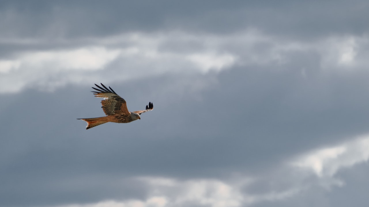 The Importance of Quality Steering Parts in Ensuring Safety on the Road