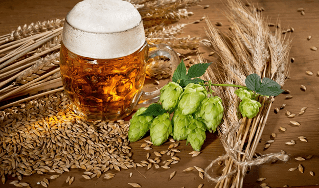 Primary products used in beer-making