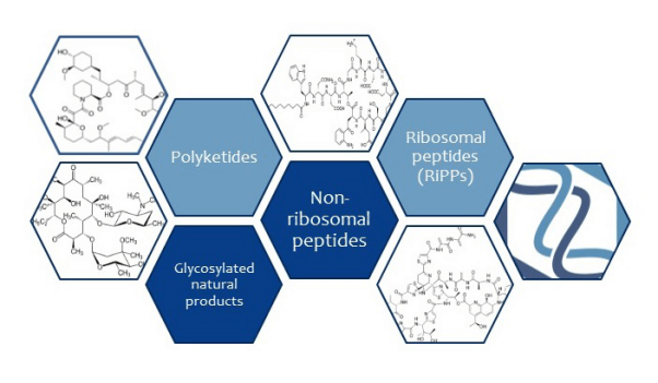 Understanding The Nature Of Natural Products